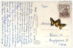 Ramsau, Gasthof und Pension Neuwirt