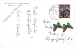 Stadl an der Mur, Alpenpension Kaltwasser