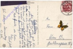 Stubenberg, Schloss Schielleiten