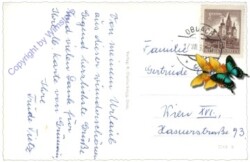 St. Wolfgang-Kienberg, Ansicht