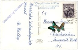 Tauplitz, Alm, Linzer Tauplitzhaus