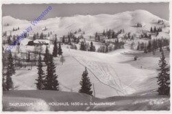 Tauplitz, Alm mit Hollhaus u Schneiderkogel