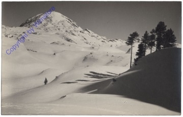 Totes Gebirge, Woising