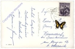 Waldbach, Multiansicht