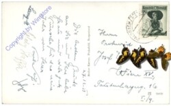 Waldbach, Ortsansicht