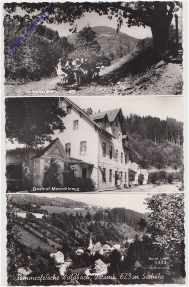 Waldbach, Multiansicht