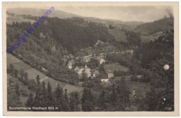 Waldbach, Ortsansicht