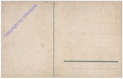 Die dümmsten Bauern haben die grössten Kartoffeln