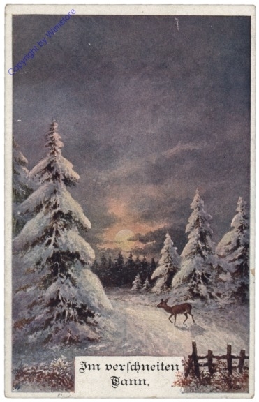 Im verschneiten Tann