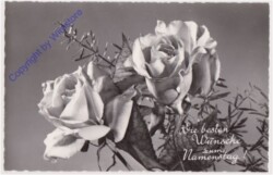 ak170729 Rosen, Namenstag