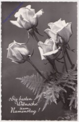 ak170730 Rosen, Namenstag