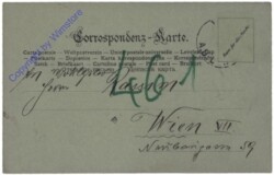 Frösche und Schweine feiern