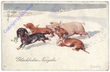 Hunde mit Schwein