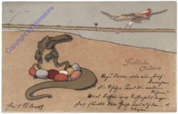 Vogel klaut dem Krokodil die Eier