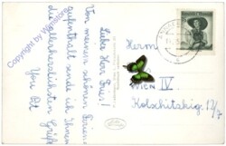 Annaberg, Sommerfrische Schmelz
