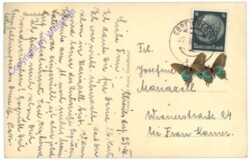 Ebreichsdorf, Schloss