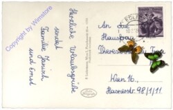 ak170912a Edlitz, Ortsansicht