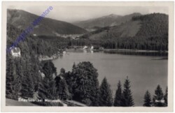 Erlauf, Erlaufsee