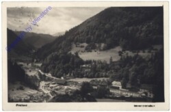 ak170940 Freiland, Ortsasicht