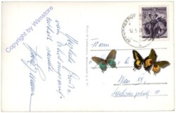 Furth an der Triesting, Multiansicht