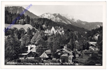ak170975 Göstling, Steinbach geg. Dürrenstein