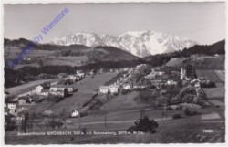 Grünbach, mit Schneeberg