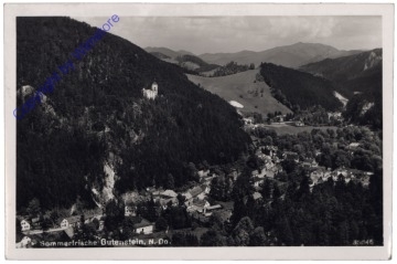 ak170996 Gutenstein, Ortsansicht