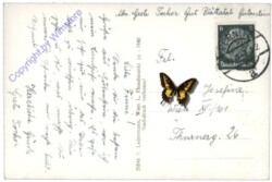 Gutenstein, Ortsansicht