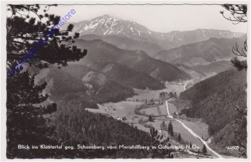 ak170999 Gutenstein, Blick ins Klostertal geg. Schneeberg vom Mariahilfberg