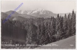 Gutenstein, Mariahilfberg, Blick von der Wallfahrtskirche geg. Schneeberg