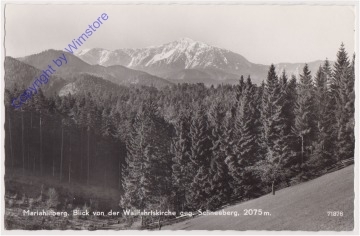 ak171002 Gutenstein, Mariahilfberg, Blick von der Wallfahrtskirche geg. Schneeberg