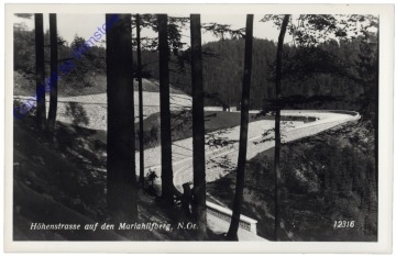 ak171010 Gutenstein, Höhenstrasse auf den Mariahilfberg