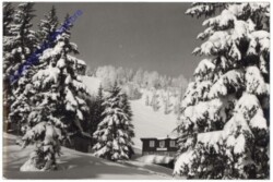 Hohenberg / Lilienfeld, Gschwendthütte