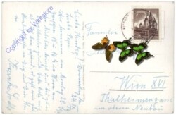 Kirchschlag i.d. Buckligen Welt, Hotel Lepold
