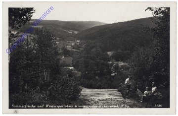 Kronstein, Ortsansicht