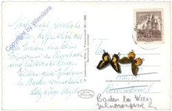 Maria Schutz am Semmering, Wallfahrtskirche