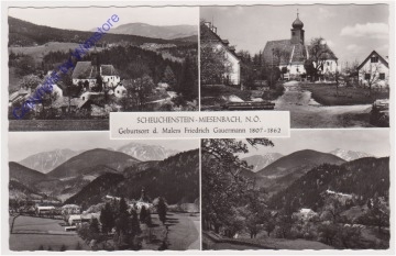 Miesenbach, Multiansicht