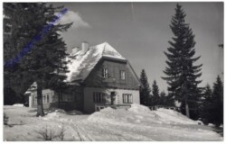Mönichkirchen, Alpengasthof zum Enzian