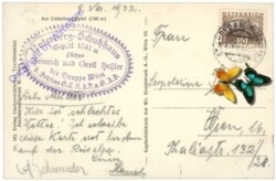 Muggendorf, am Unterberg Gipfel