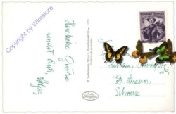 Nasswald, Binder-Wirtshaus im Reisstal geg. Kahlmäuer