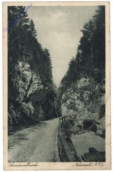 Nasswald, Saurüsselbrücke