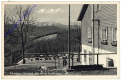 ak171369 Pernitz, Schutzhaus Waxeneck mit Schneeberg