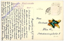 Prigglitz, Pension Waldesruh