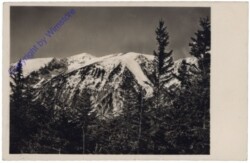 Puchberg, Blick gegen Hochschneeberg