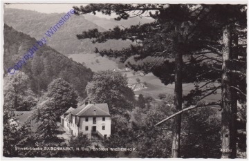ak171444 Raisenmarkt, Pension Wiedenhof