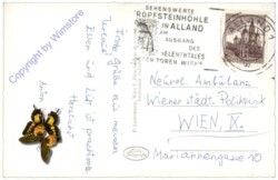 Raisenmarkt, Pension Wiedenhof