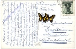 Rax, Raxbahn, Stütze III gegen Reichenau