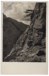 Rax, Einstieg in den Akademikersteig