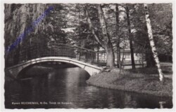 Reichenau, Teich im Kurpark