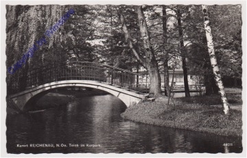Reichenau, Teich im Kurpark